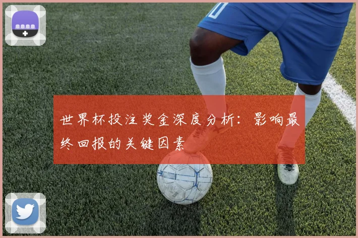 世界杯投注奖金深度分析：影响最终回报的关键因素