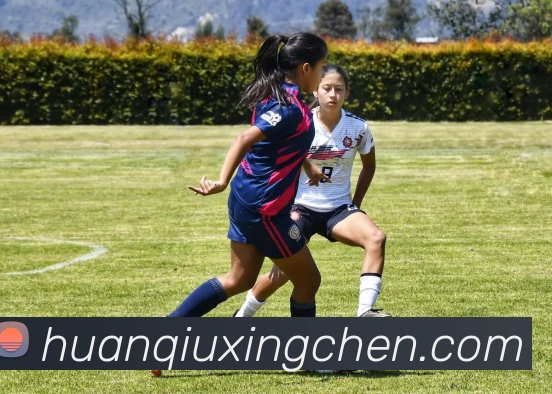 九游在线登录发展历程